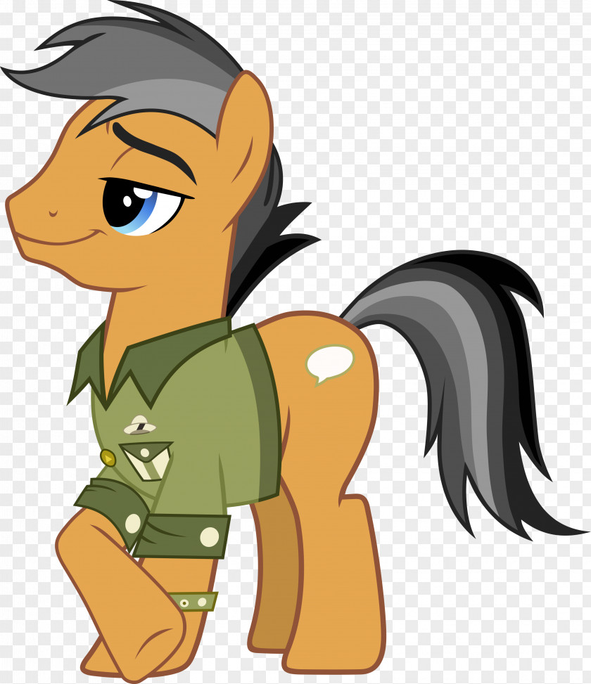 Horse My Little Pony Rainbow Dash Stranger Than Fan Fiction PNG