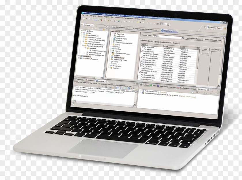 Master Data Management IBM InfoSphere DataStage Computer Software PNG