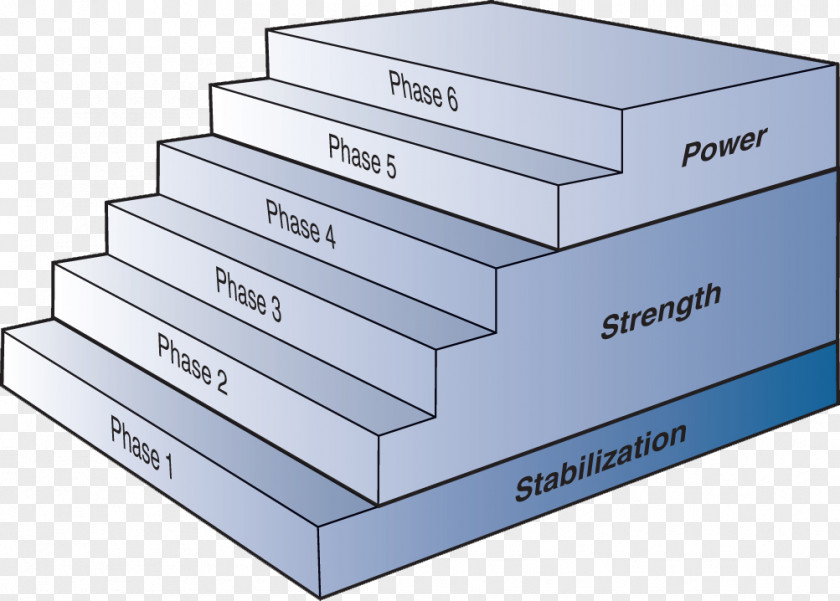 Phases Sports Periodization Physical Fitness Training Centre National Academy Of Medicine PNG