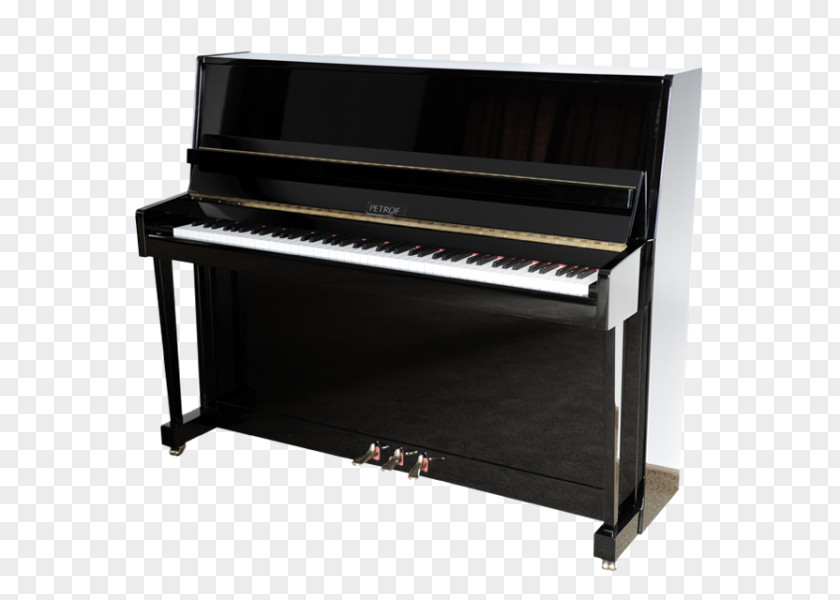 Piano Grand Upright Yamaha Corporation Feurich PNG