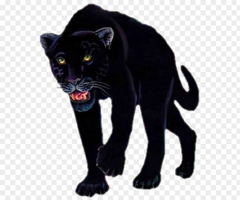 Black Panther Tiger Lion Leopard PNG