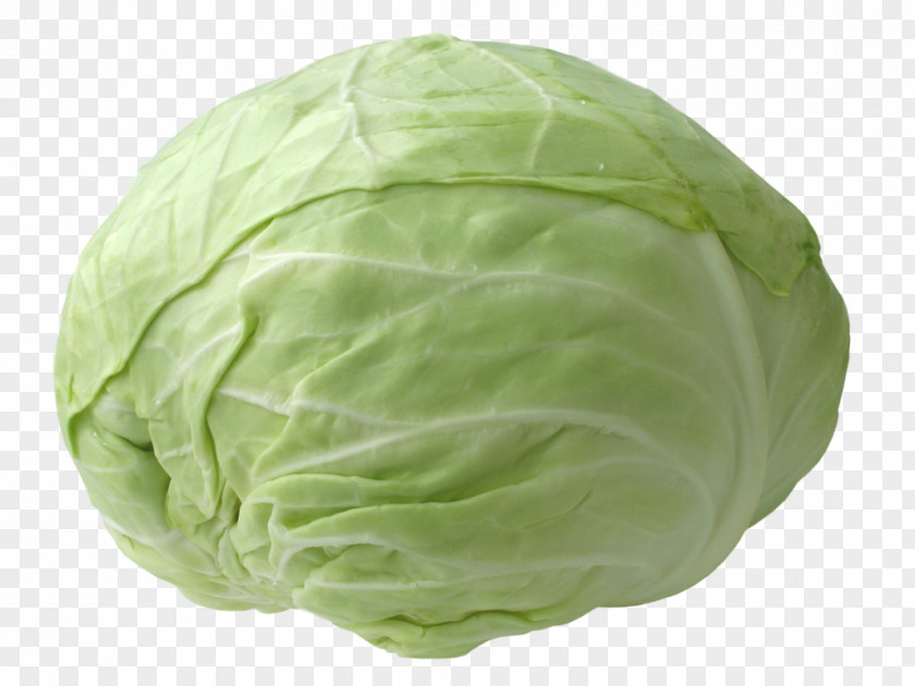 Cabbage Red Napa Vegetable PNG