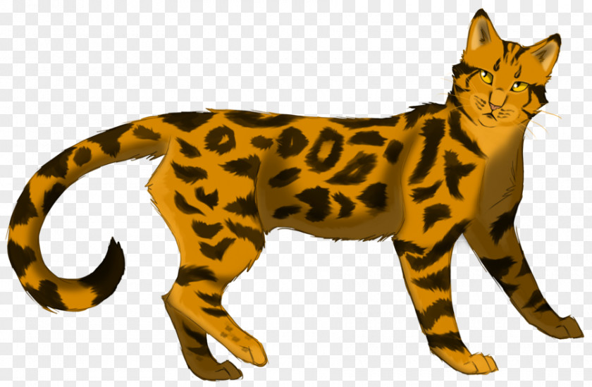 Cat Whiskers Warriors: The Prophecies Begin Leopardstar PNG