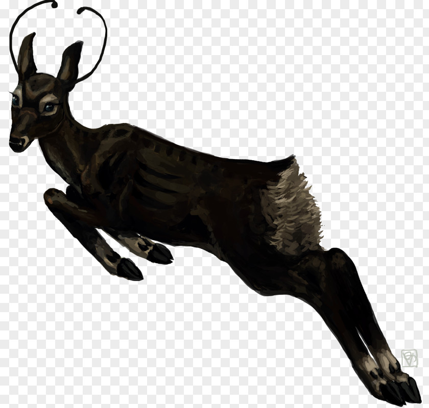 Sika Deer Antelope Chamois Cattle Reindeer Goat PNG