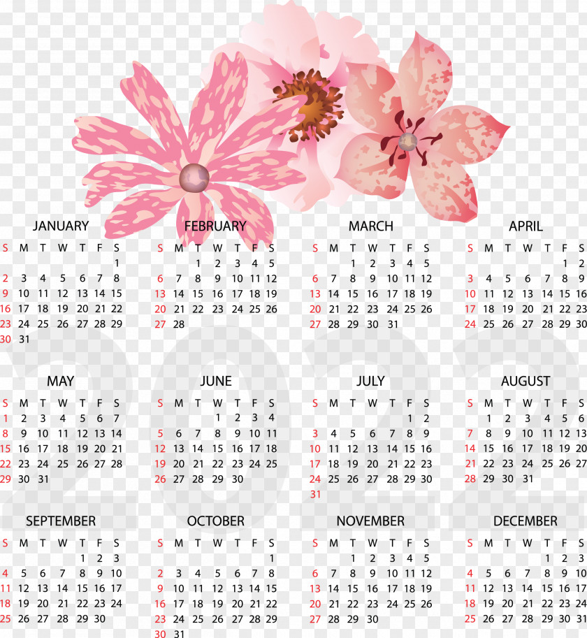 Calendar Flower Meter PNG