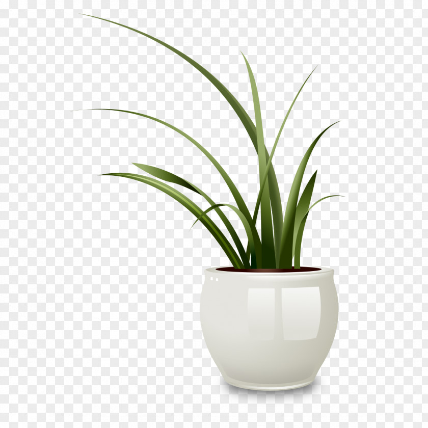 Classic White Vase Drawing Flowerpot Photography Illustration PNG