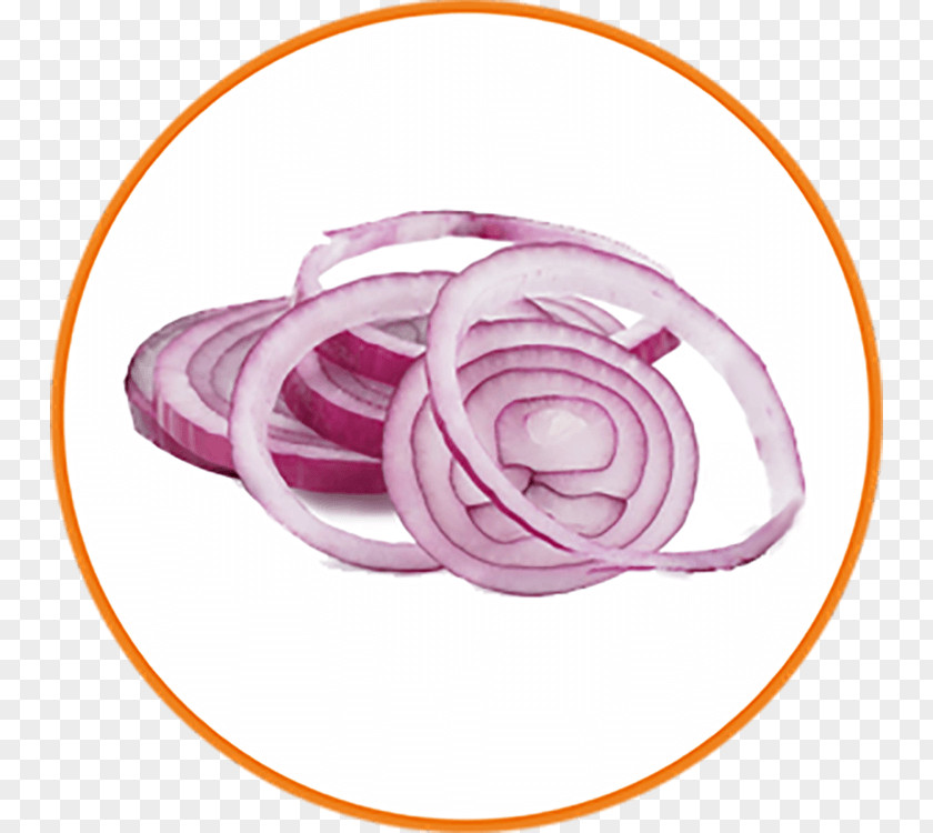 Onion Red Vegetable White PNG