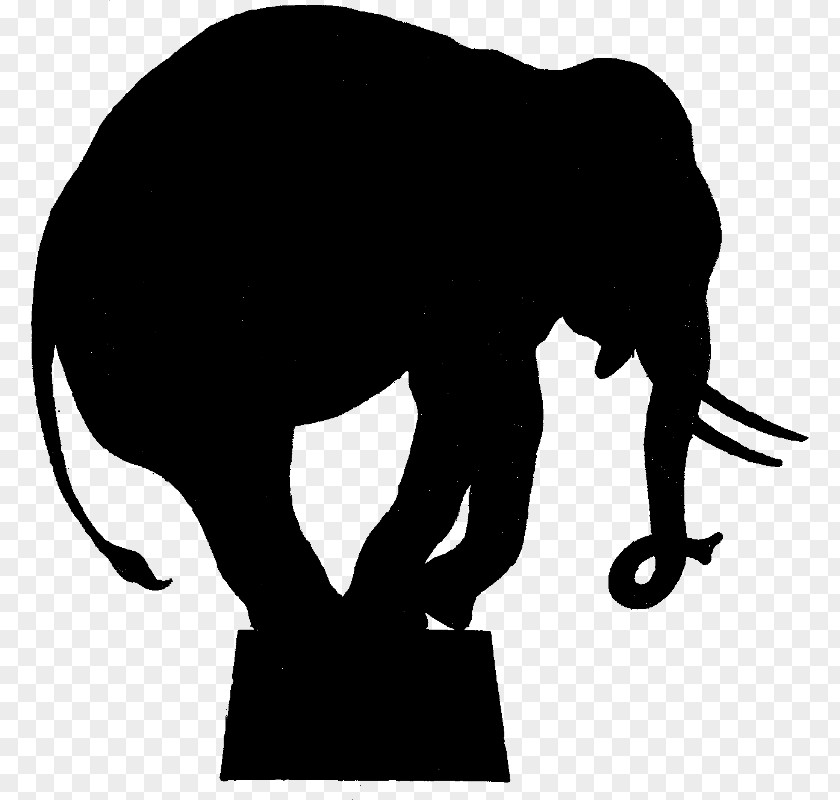 Circus Elephant Silhouette Clip Art PNG