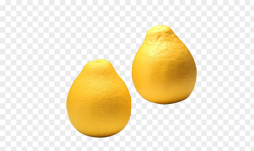 Grapefruit Lemon Citron Tangelo Citrus Junos PNG