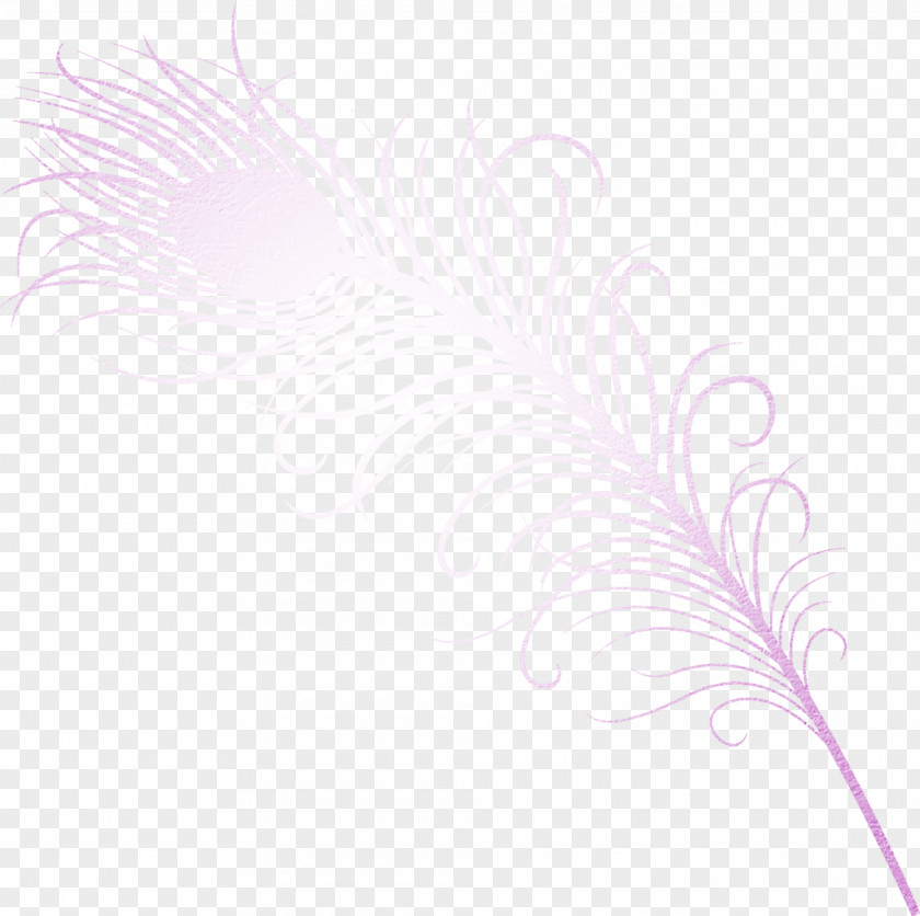 Purple Feather Material Free To Pull Petal Pattern PNG