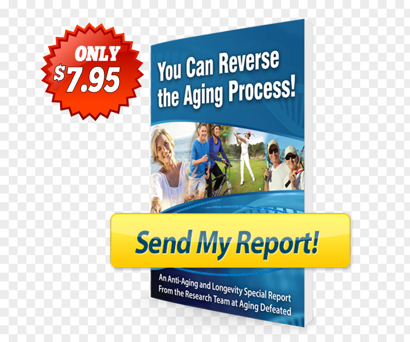Reverse Aging Online Advertising Organization Public Relations Brand Display PNG