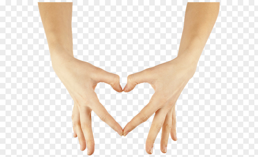Thumb Upper Limb Heart Digit Hand PNG limb Hand, heart clipart PNG