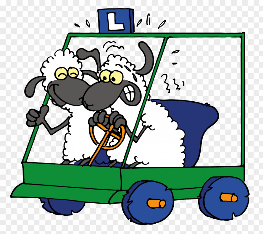 Car Rijschool Sheep Cartoon Driver's Education Lesauto PNG