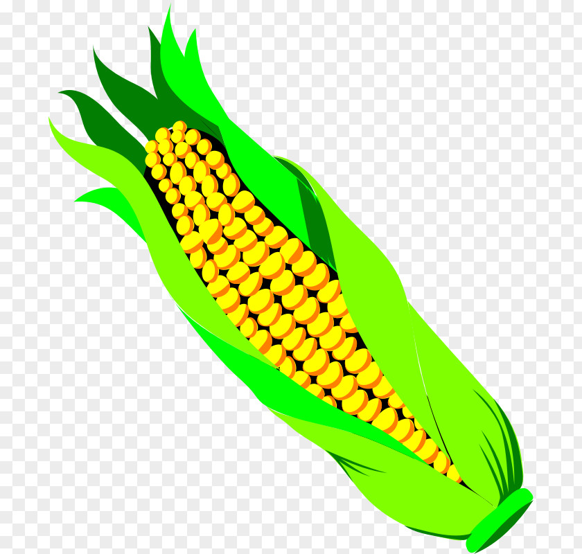 Corn Field Vegetable On The Cob Sweet Clip Art PNG