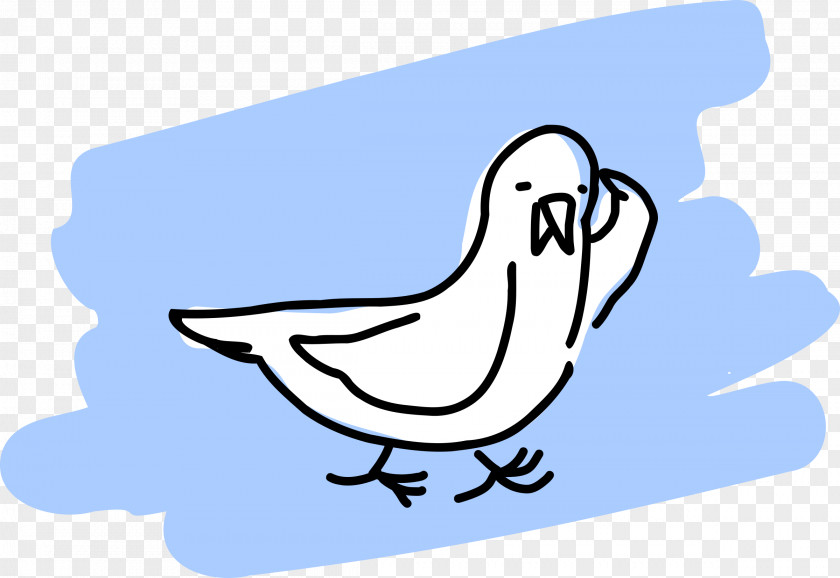 Seagull Gulls Bird Clip Art PNG