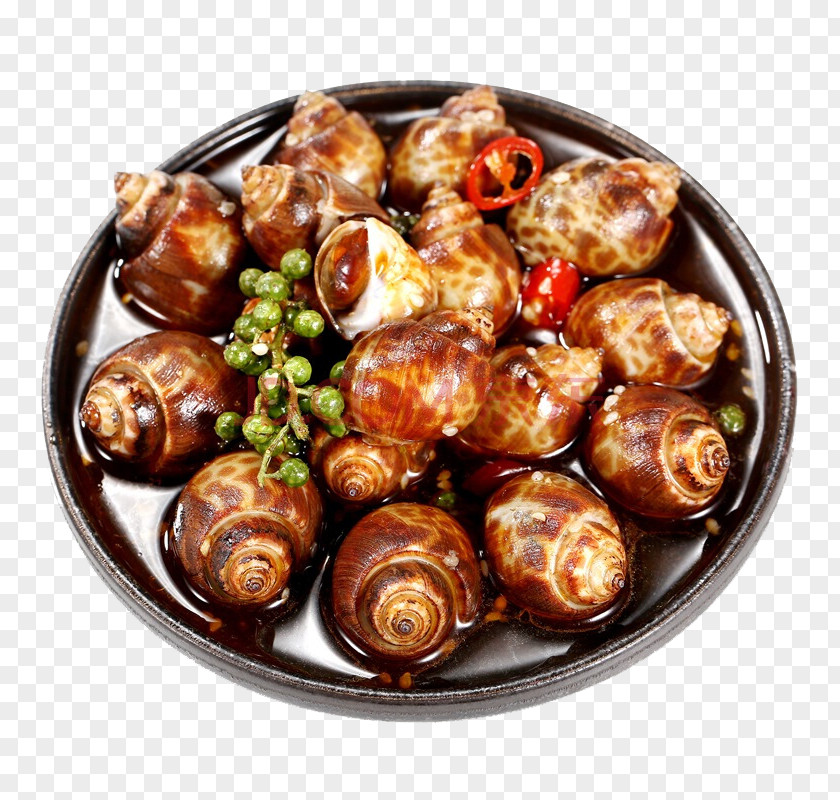 Spicy Fried Snail Frying Chili Pepper Capsicum Dish PNG