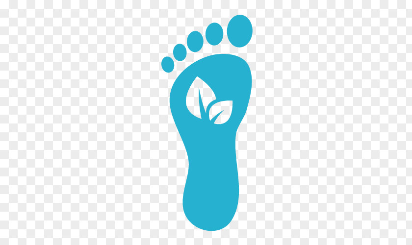 Carbon Foot Print Ecological Footprint Sustainability Vimeo Ecology PNG