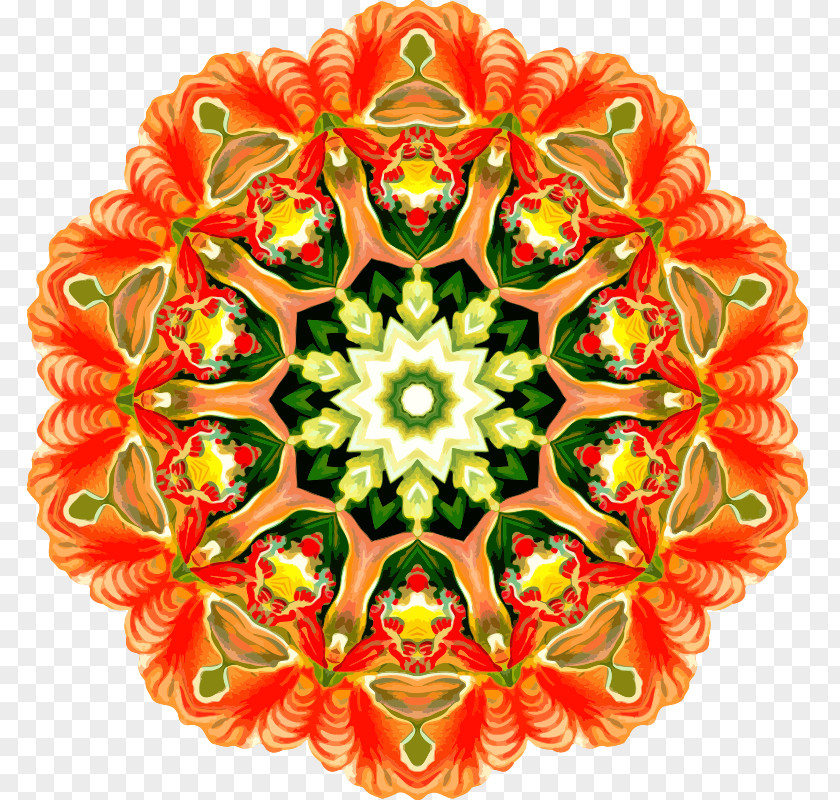 Design Floral Kaleidoscope Symmetry Cut Flowers PNG