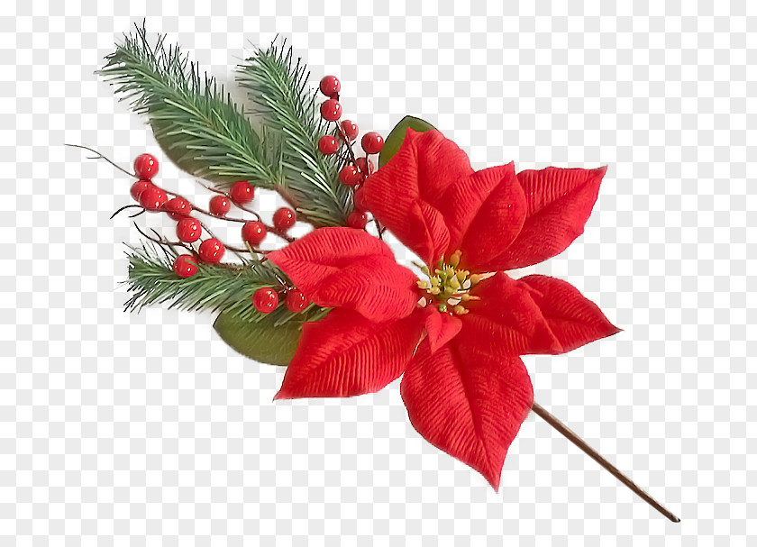Flower Cut Flowers RIOMASTER Export Christmas PNG