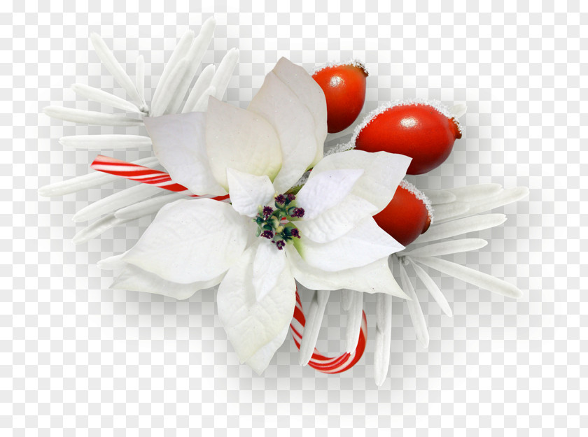Flower Floral Design Cut Flowers Bouquet Image PNG