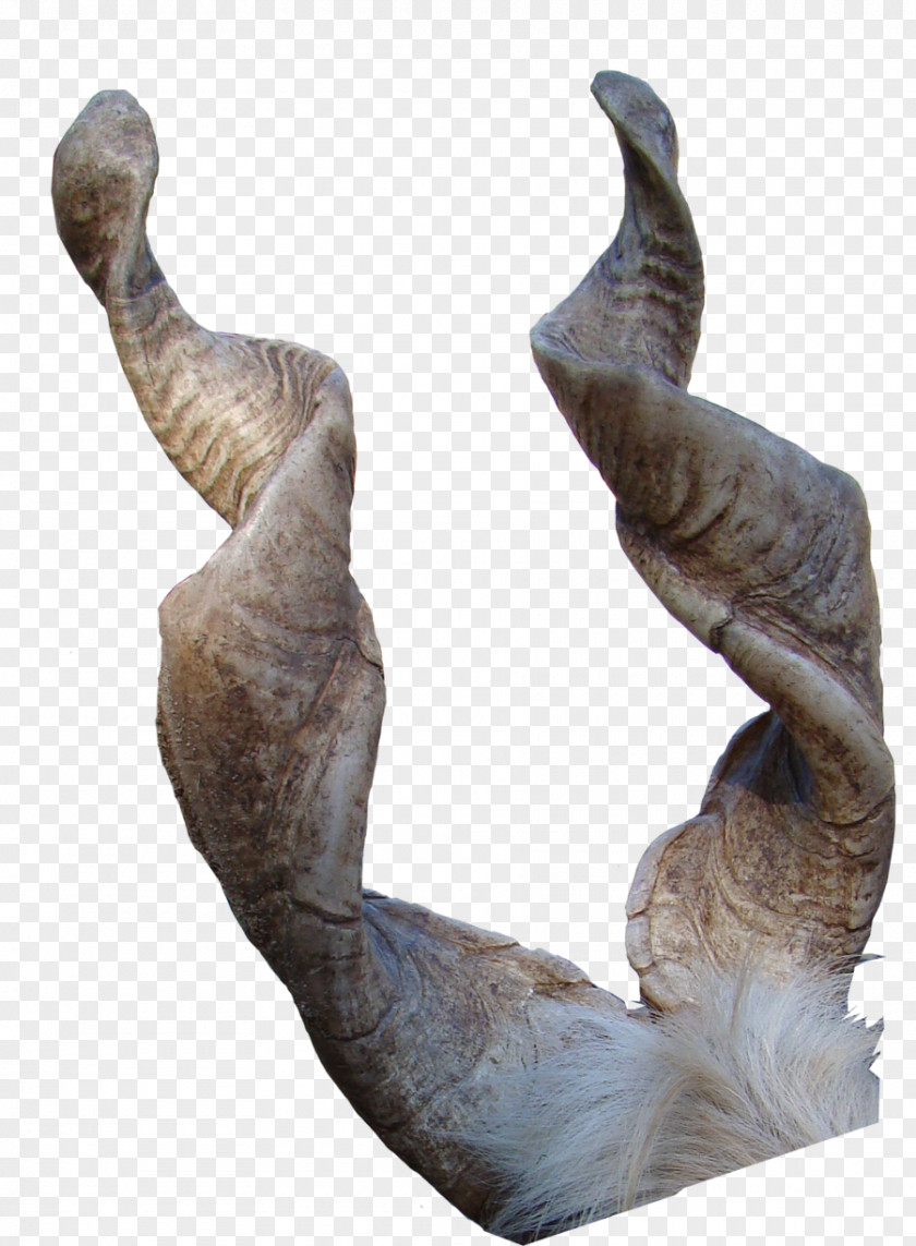 Goat Girgentana Sign Of The Horns Antler PNG