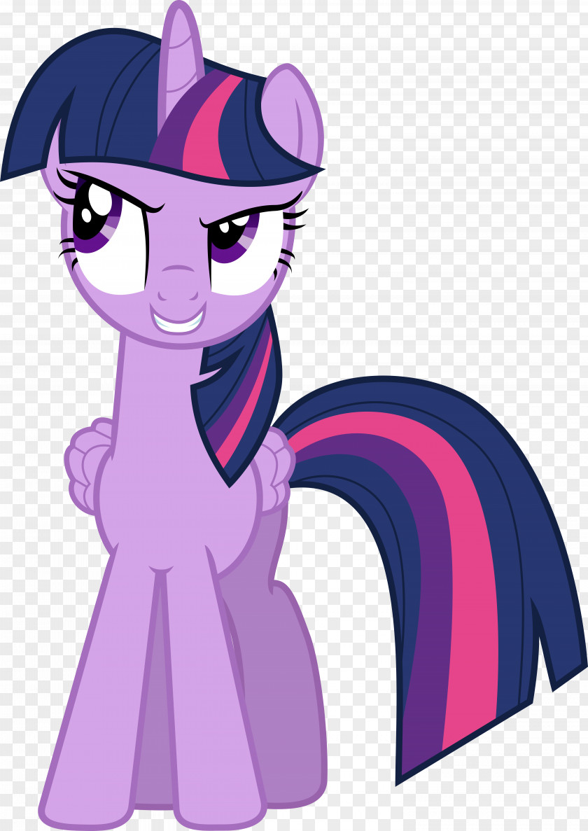 Twilight Sparkle Rarity Pinkie Pie Pony The Saga PNG