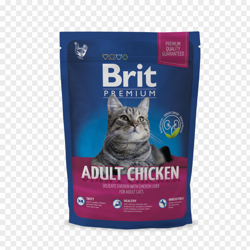 Cat Food Kitten Chicken As Purina One PNG