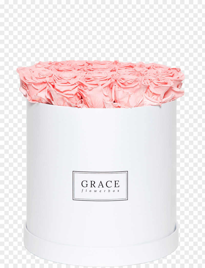 Infinity Wedding Product Pink M Lid PNG