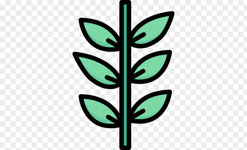 Leaf Clip Art Plant Stem Flower Line PNG