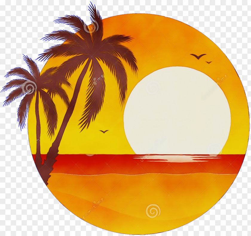 Plant Arecales Coconut Tree Drawing PNG