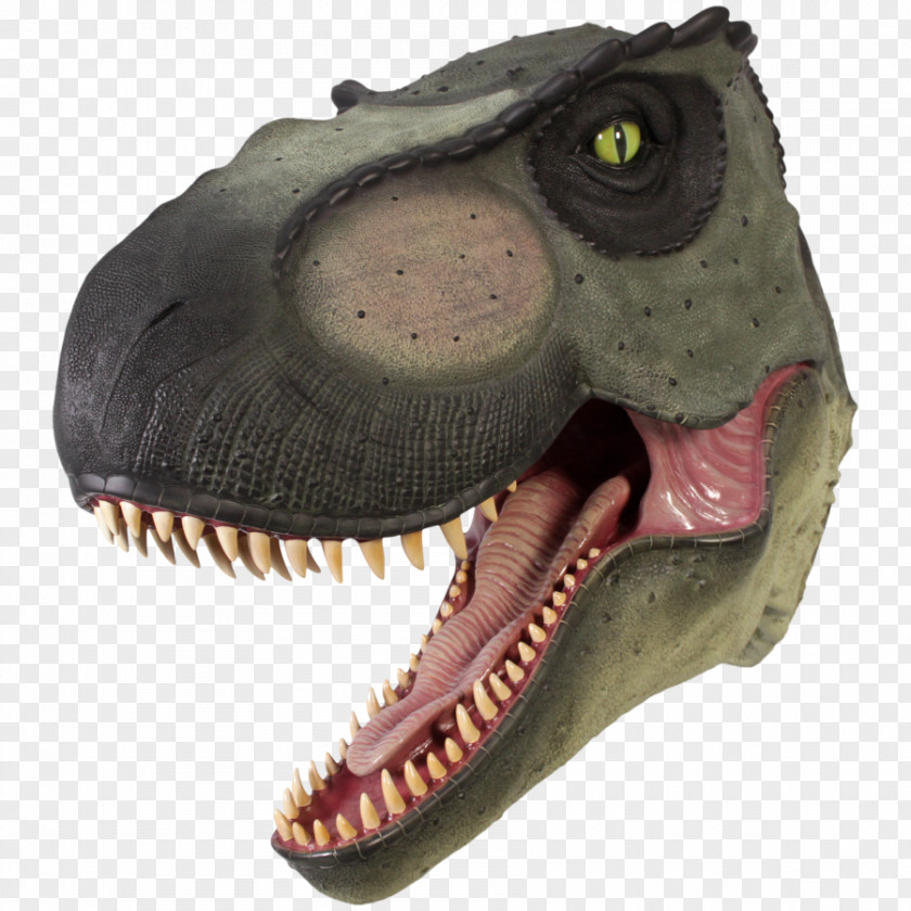 T-rex Tyrannosaurus Velociraptor Triceratops Dinosaur Sculpture PNG