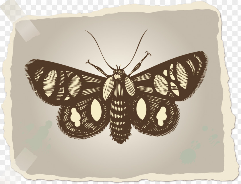 Antique Do The Old Paper Notes Textile PNG