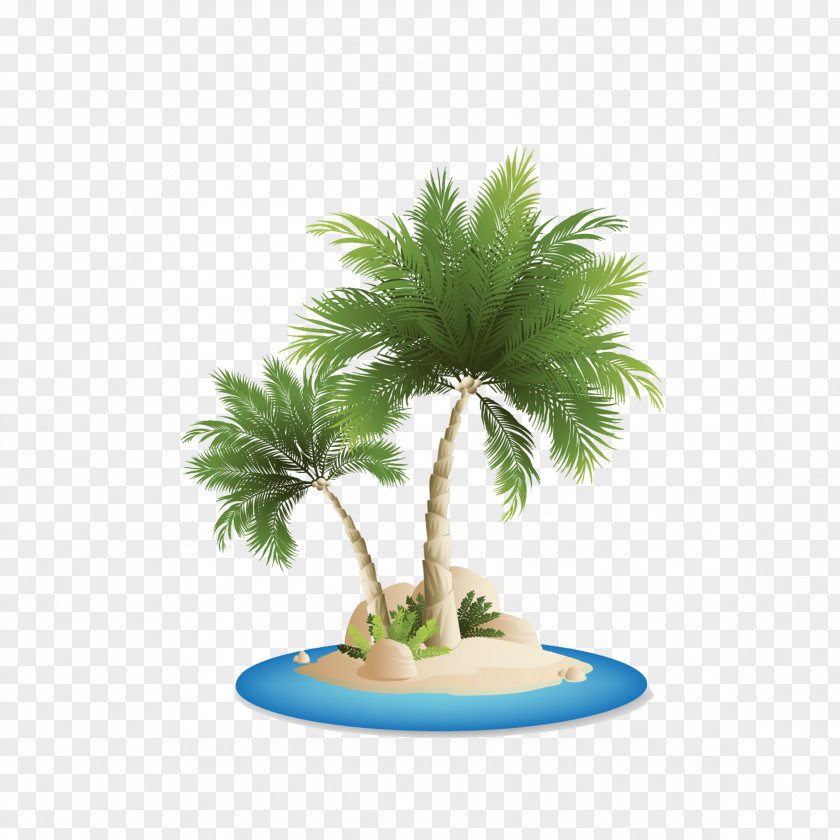 Coconut Tree Palm Islands Arecaceae Clip Art PNG