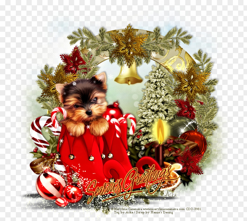 Christmas Yorkshire Terrier LiveInternet Ornament Puppy PNG