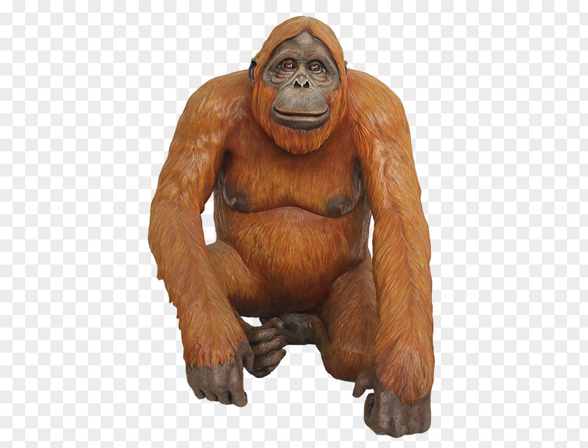 Orangutan Gorilla Icon PNG