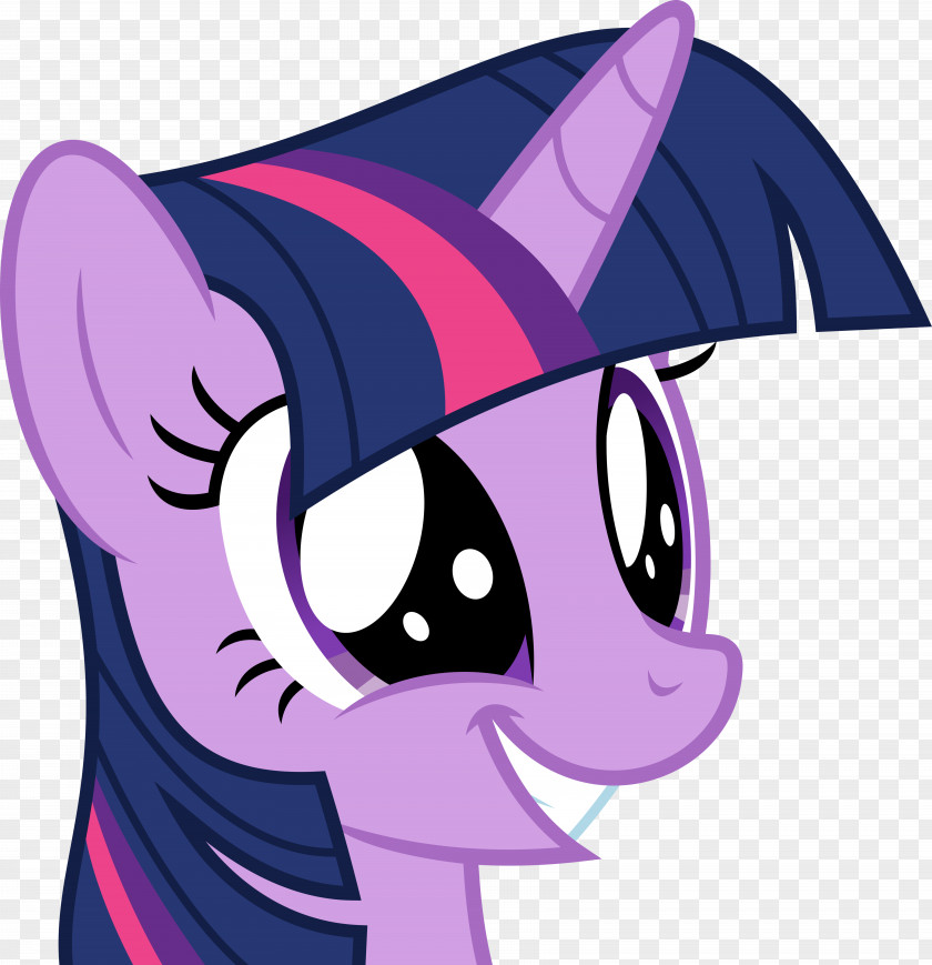Sparkle Vector Pony Twilight Derpy Hooves Clip Art Image PNG