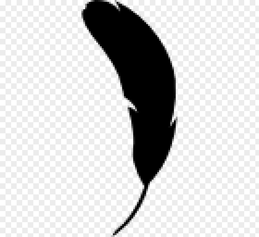 Bird Feather Shape PNG