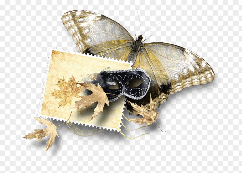 Butterfly Ads Silkworm Butterflies And Moths Clip Art PNG