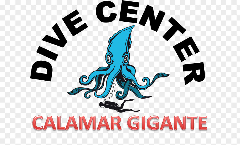 Calamares Stichting Arlanta Document Review Duck Underwater Diving Egg PNG