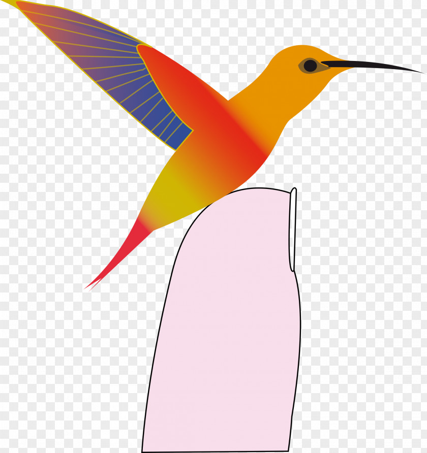 Hummingbird Clip Art PNG