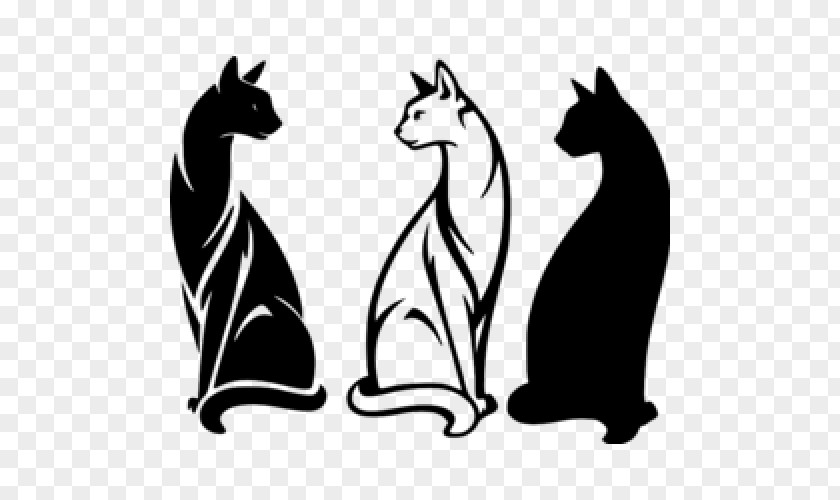 Kitten Siamese Cat Tournée Du Chat Noir PNG