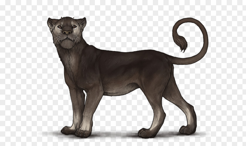 Lion Felidae Big Cat Caramelization PNG
