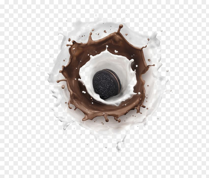 Biscuit Chocolate Chip Cookie PNG