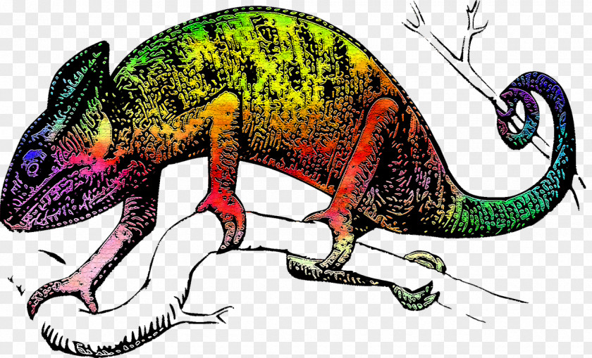 Colored Chameleon Chameleons Lizard Reptile Common Iguanas T-shirt PNG