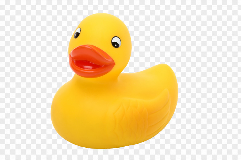 Duck Product Design Toy PNG