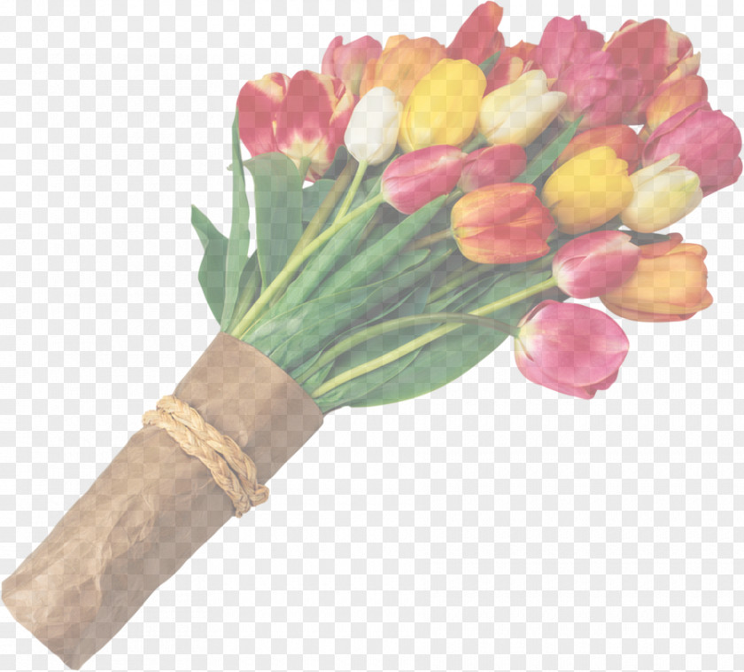 Flowering Plant Lily Family Tulip Flower Cut Flowers Bouquet PNG