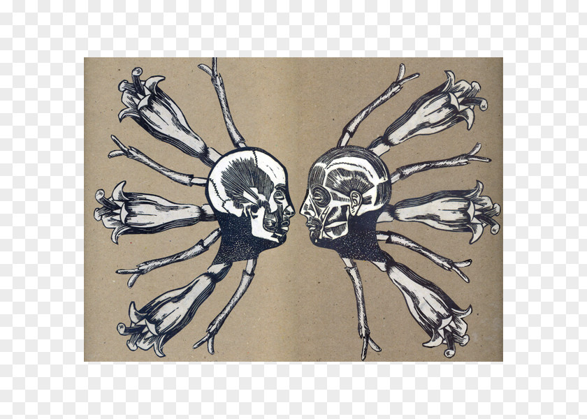 Skull Visual Arts Drawing Skeleton PNG