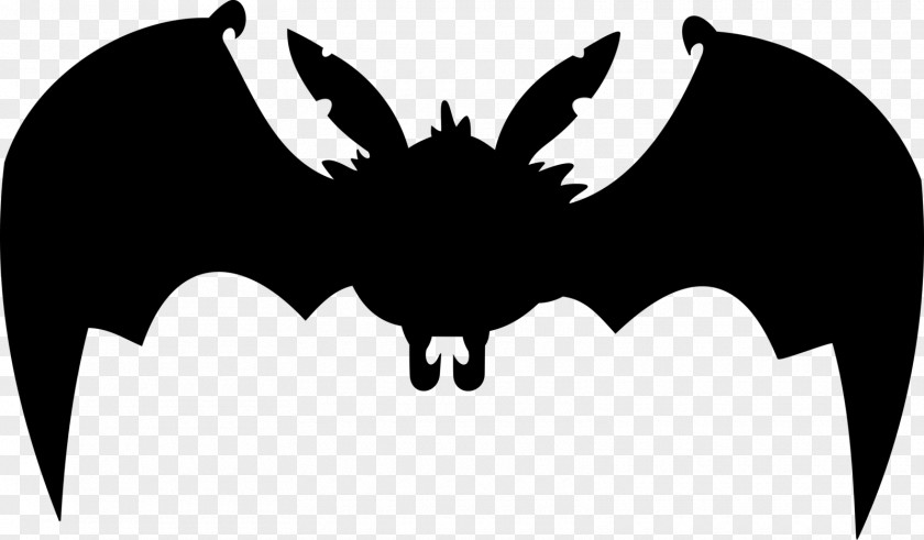 Bat Vector Graphics Illustration Clip Art Image PNG