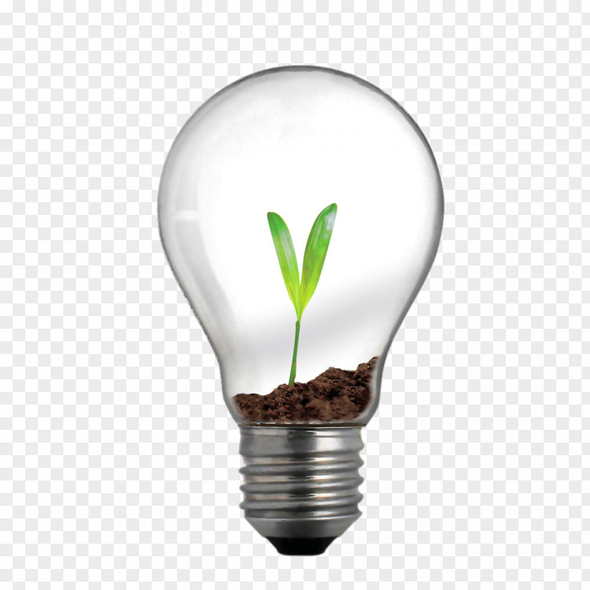 Bulb Plant Incandescent Light Lighting Innovation Business PNG