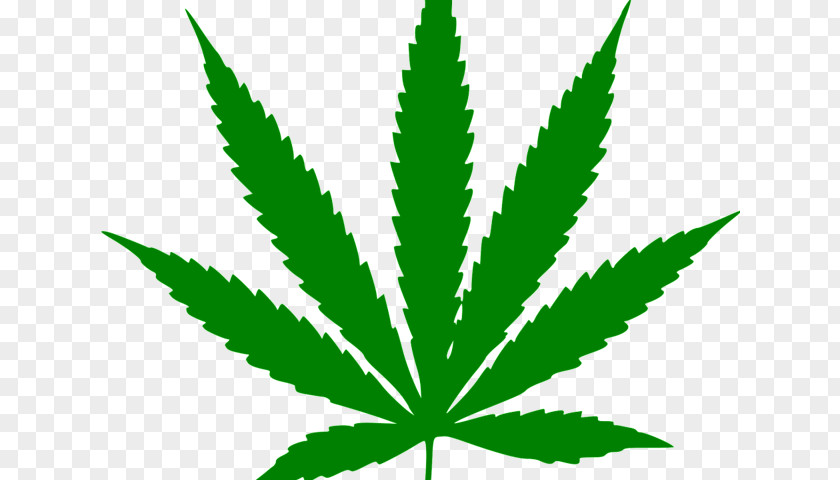 Cannabis Ruderalis Sativa Leaf Hemp PNG